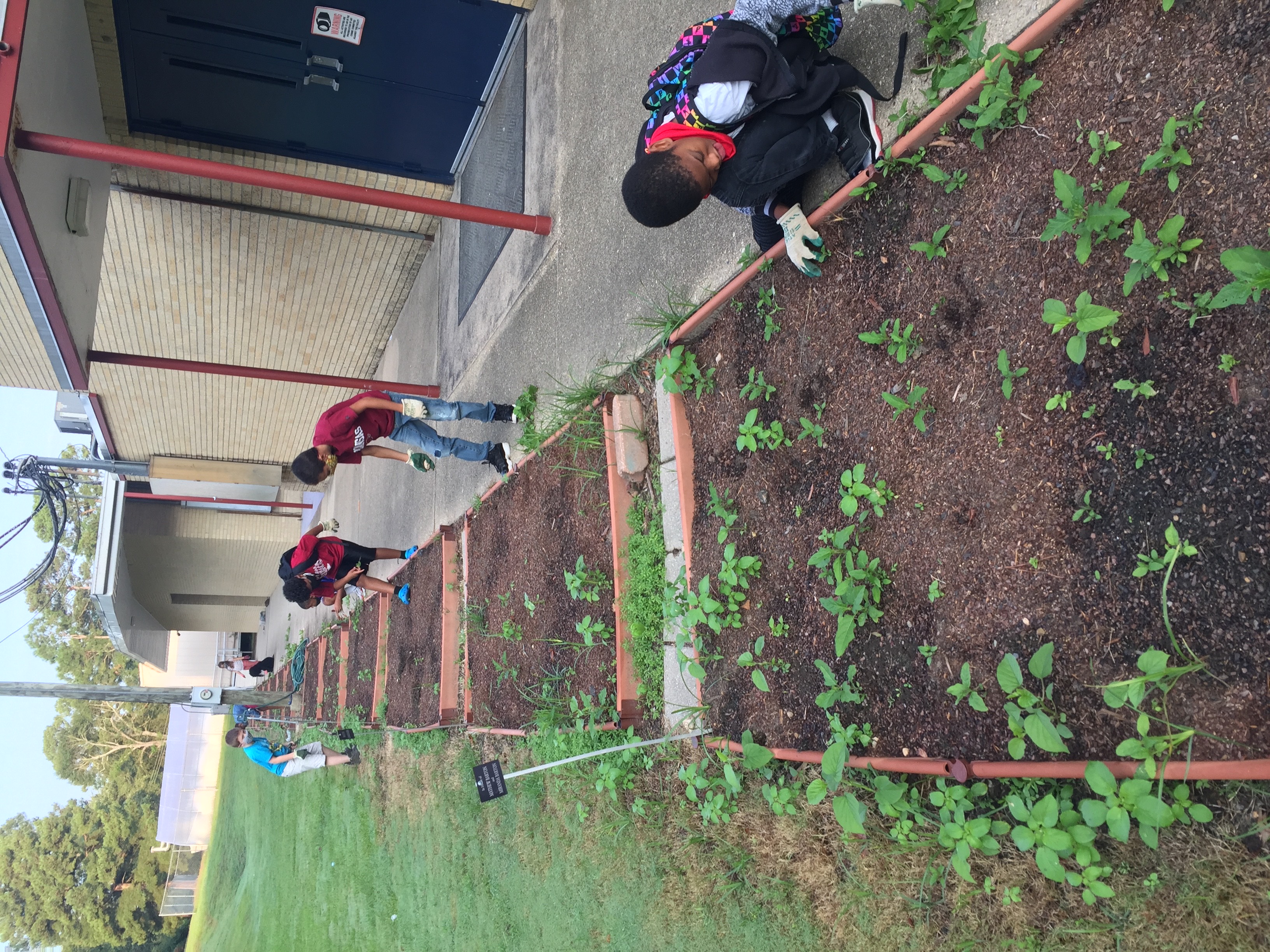 Gardening