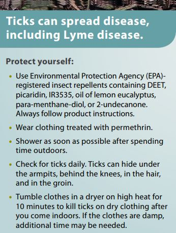 Ticks can spread disease, including Lyme disease