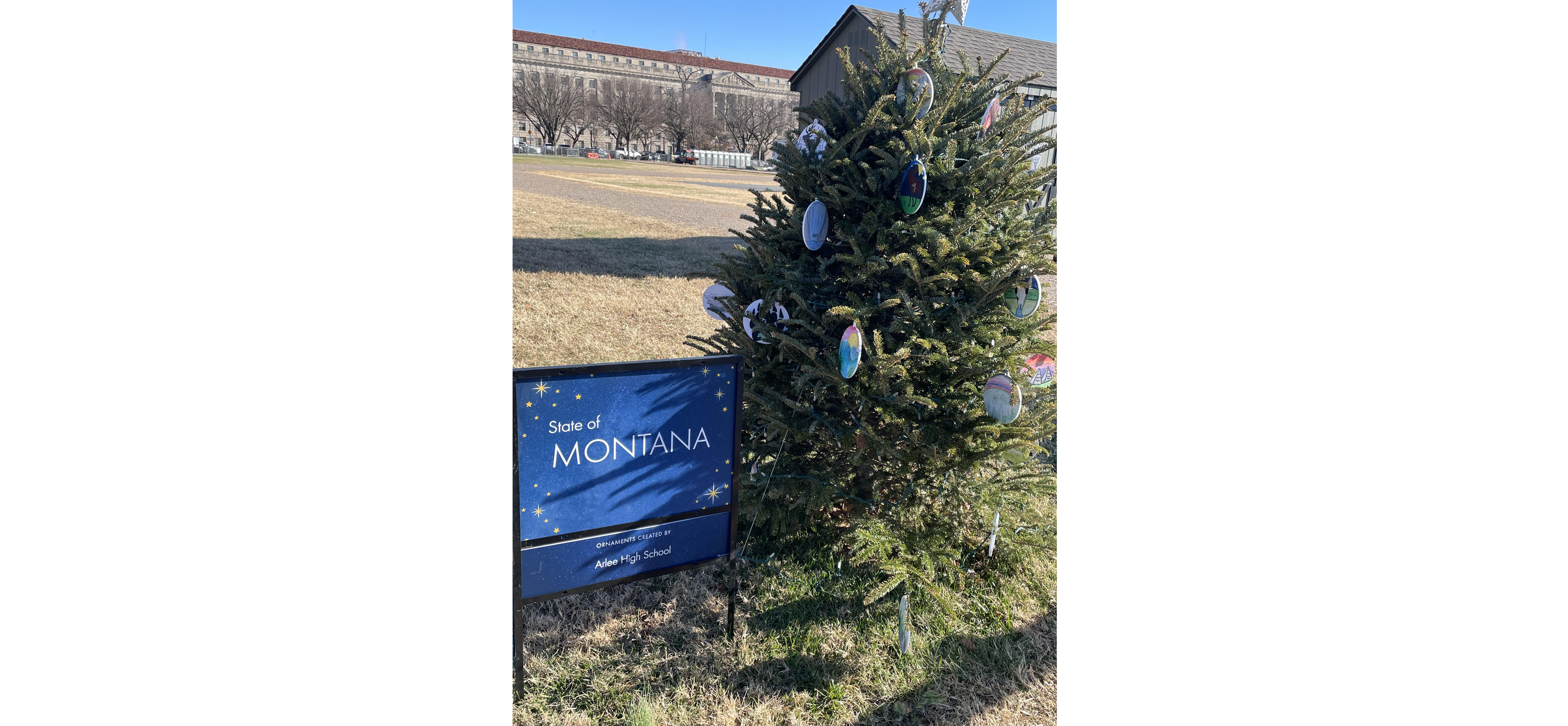 Montana Christmas Tree in DC, Ornaments by Arlee High School