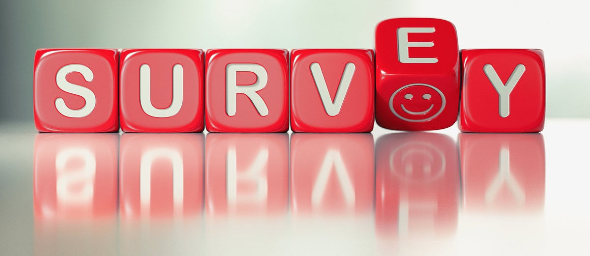 survey