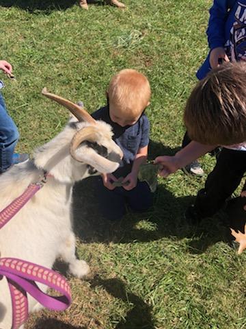 Student with a goat