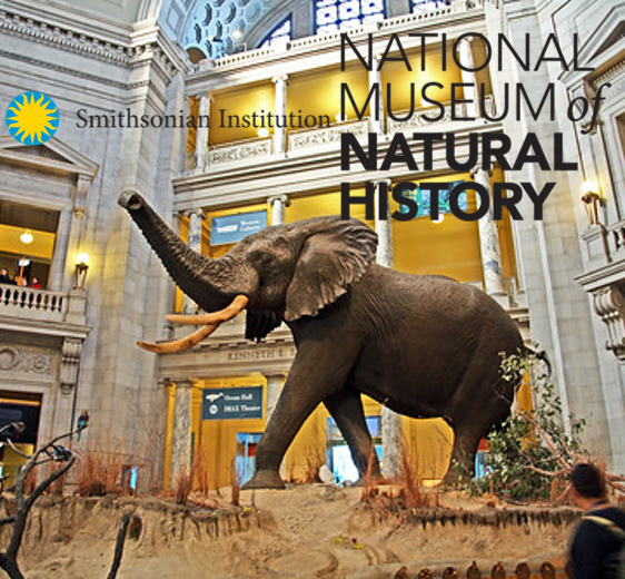 Smithsonian Museum