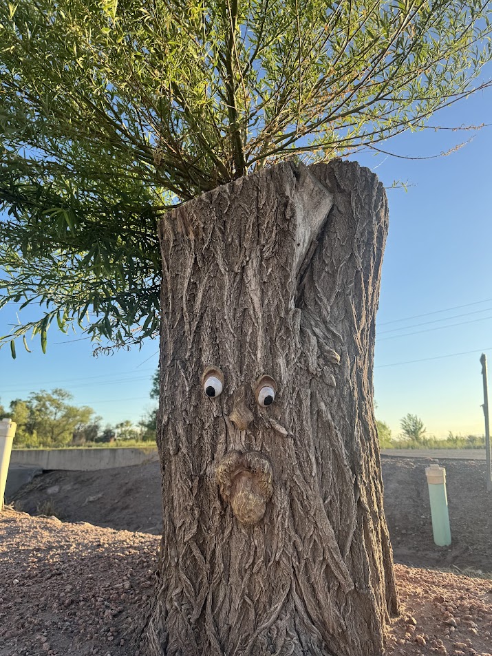 the man in the tree