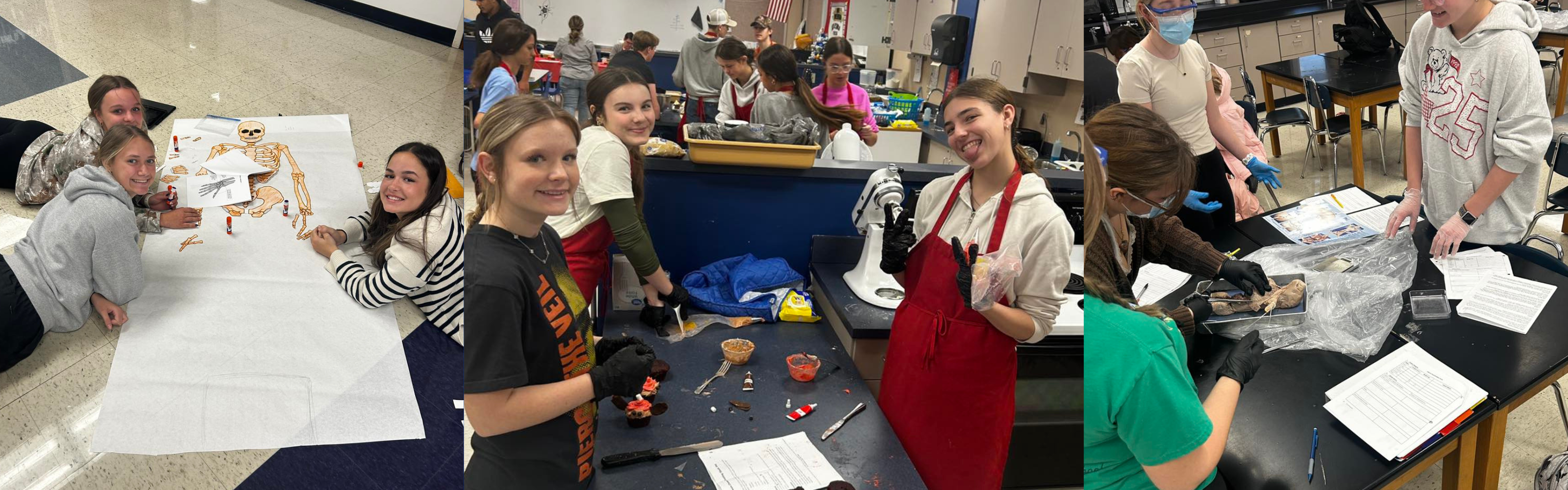 Students working on Science projects in class