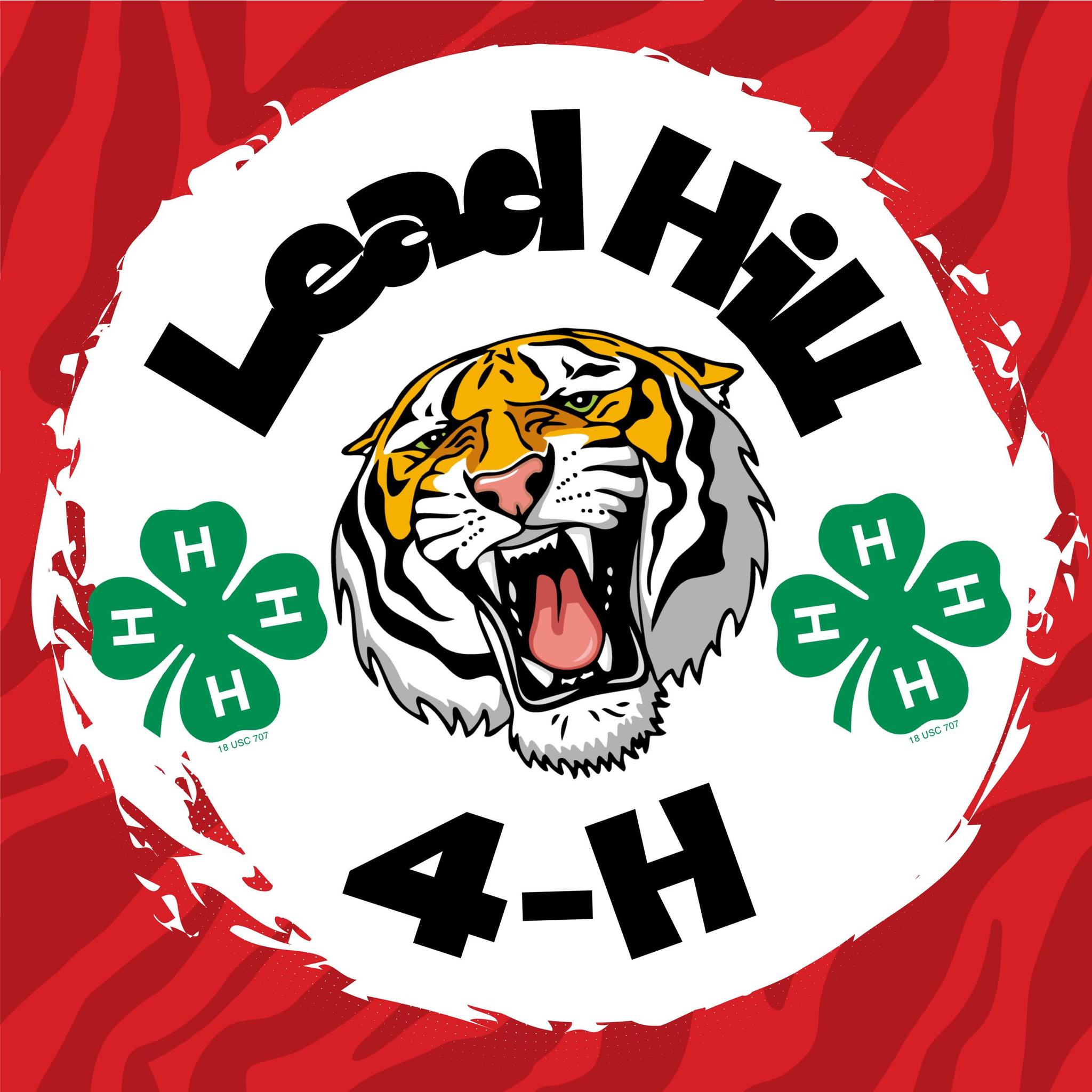 Lead Hill 4-H