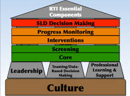 Response to Instruction and Intervention