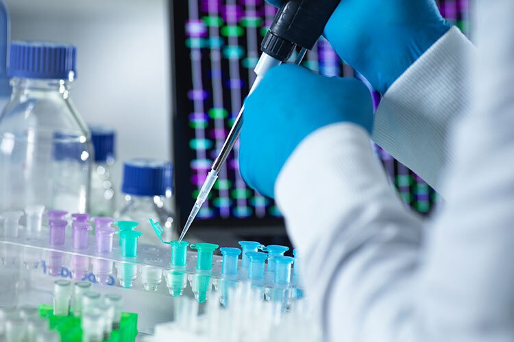 A scientist in lab attire and gloves prepares a pipette to fill a series of test tubes.