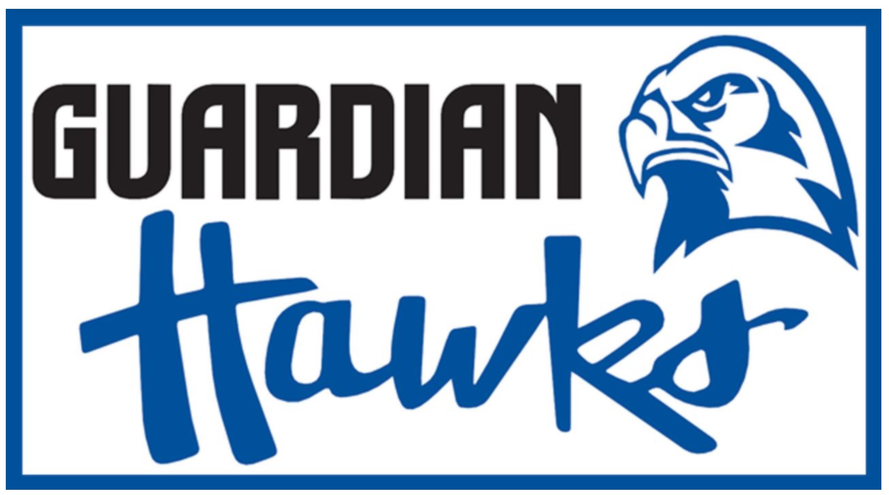 Guardian Hawk