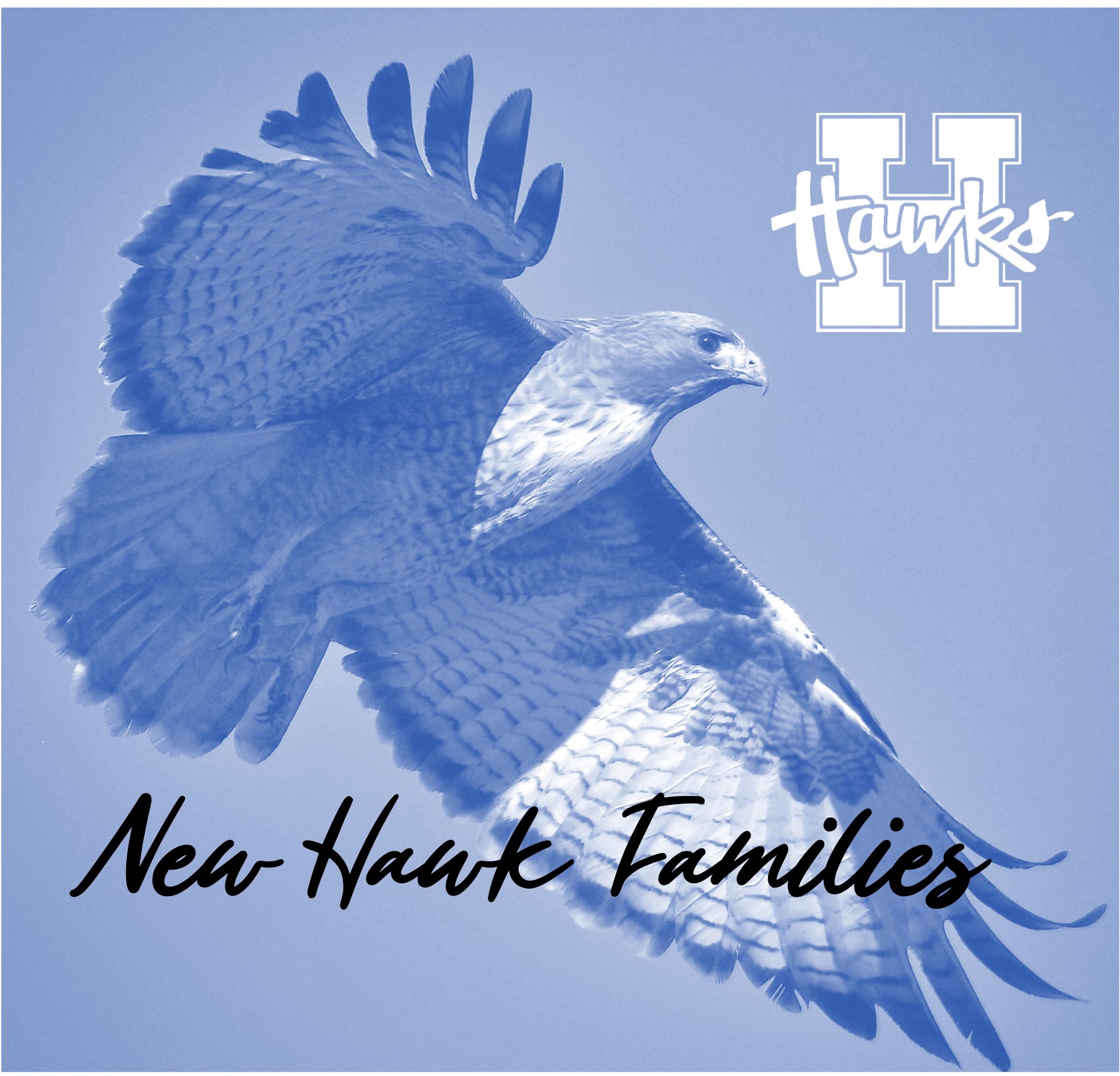 New Hawk Families
