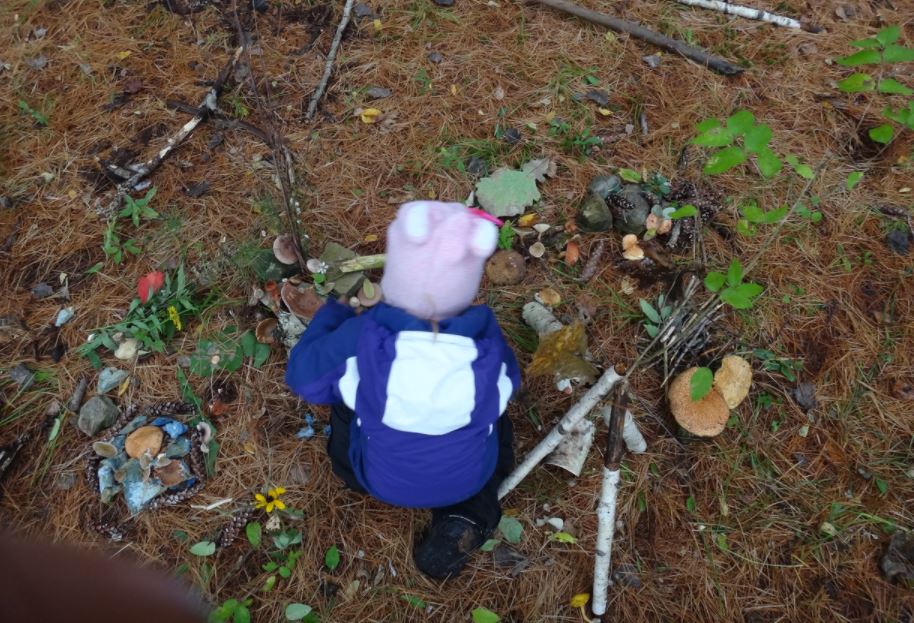 child plays with natural objects on the forest floor