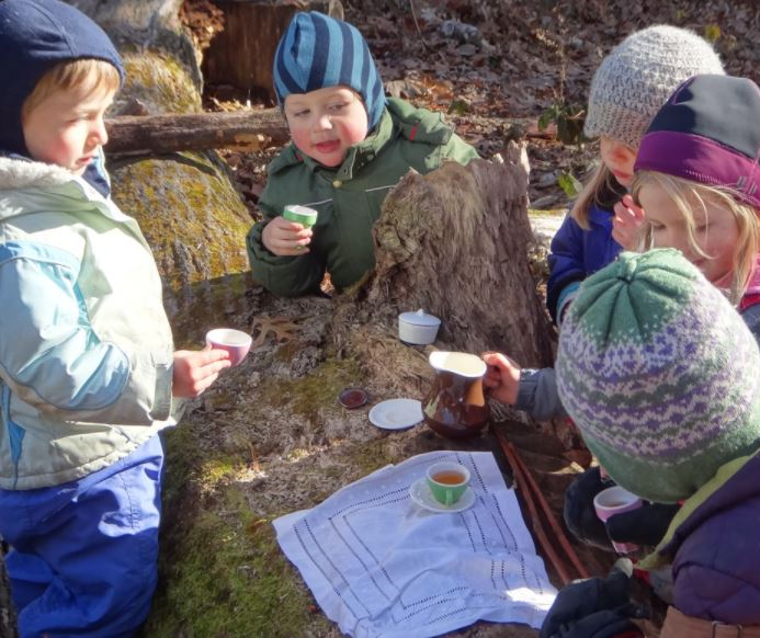 children having forest tea on a fallen log