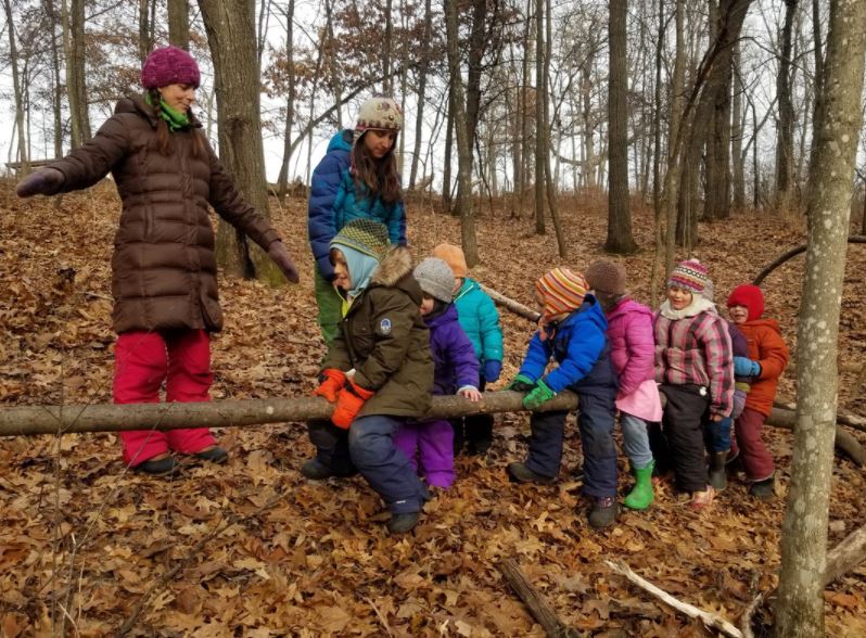 children balancing on a fallen branch in a line
