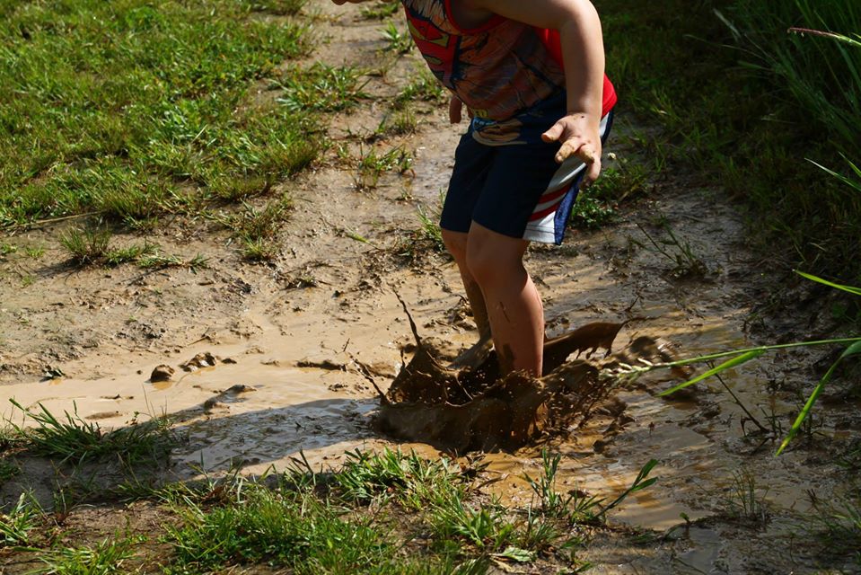 max in mud