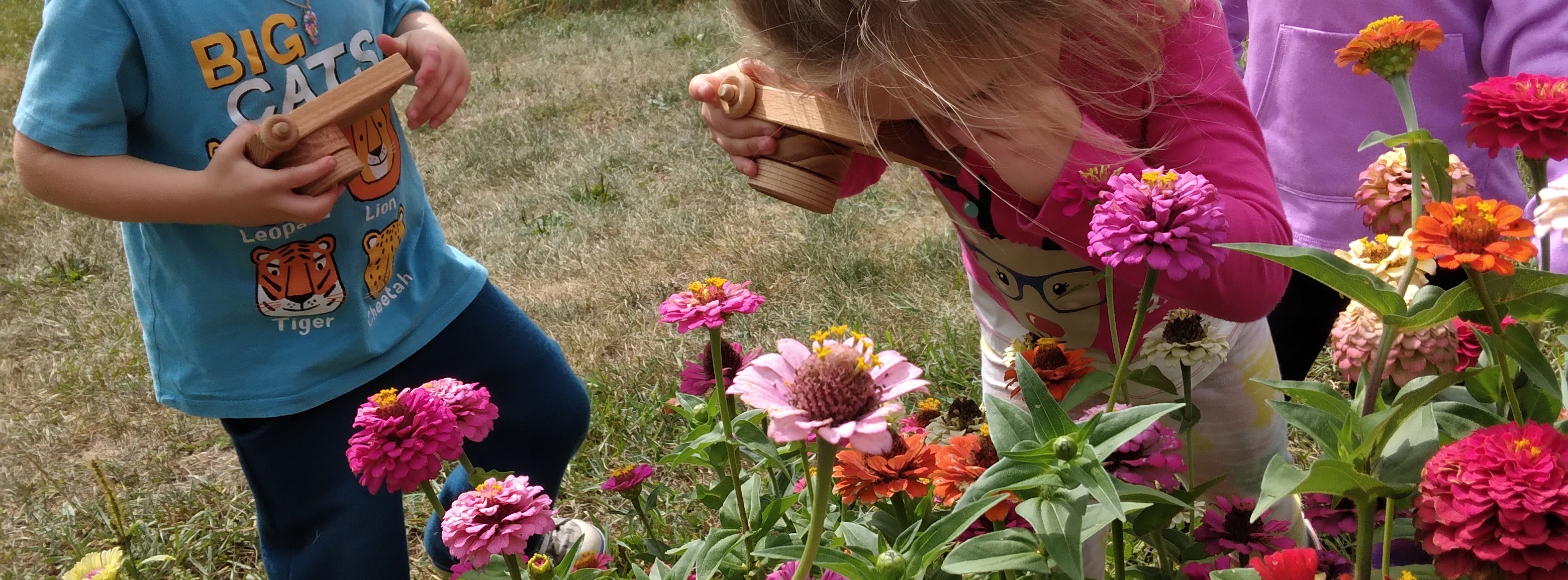 Home | Kickapoo Valley Forest School