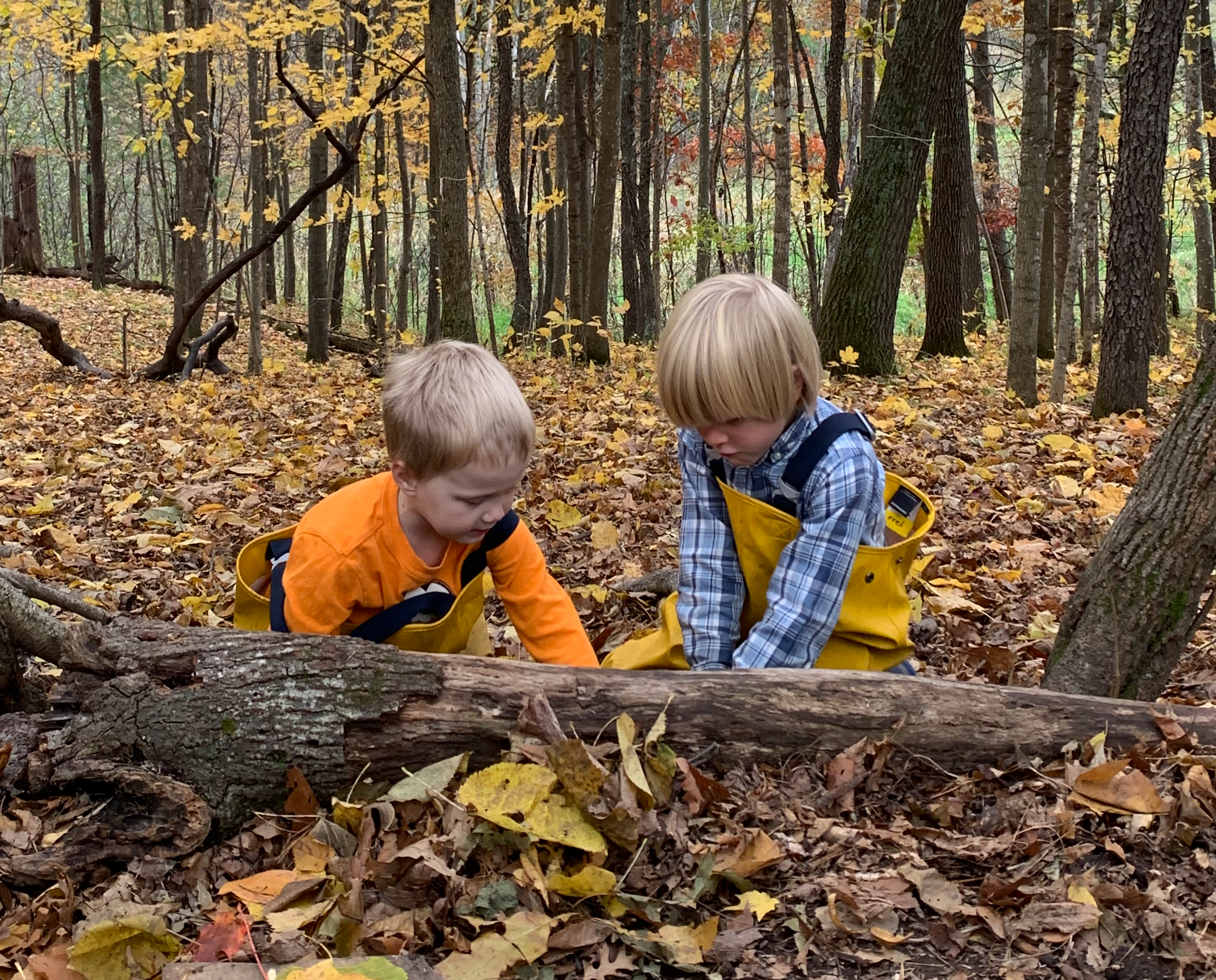 playing in the woods