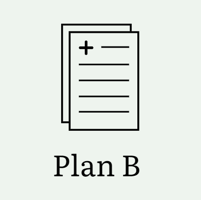 Plan B Summary