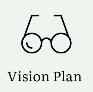 Vision Plan Summary