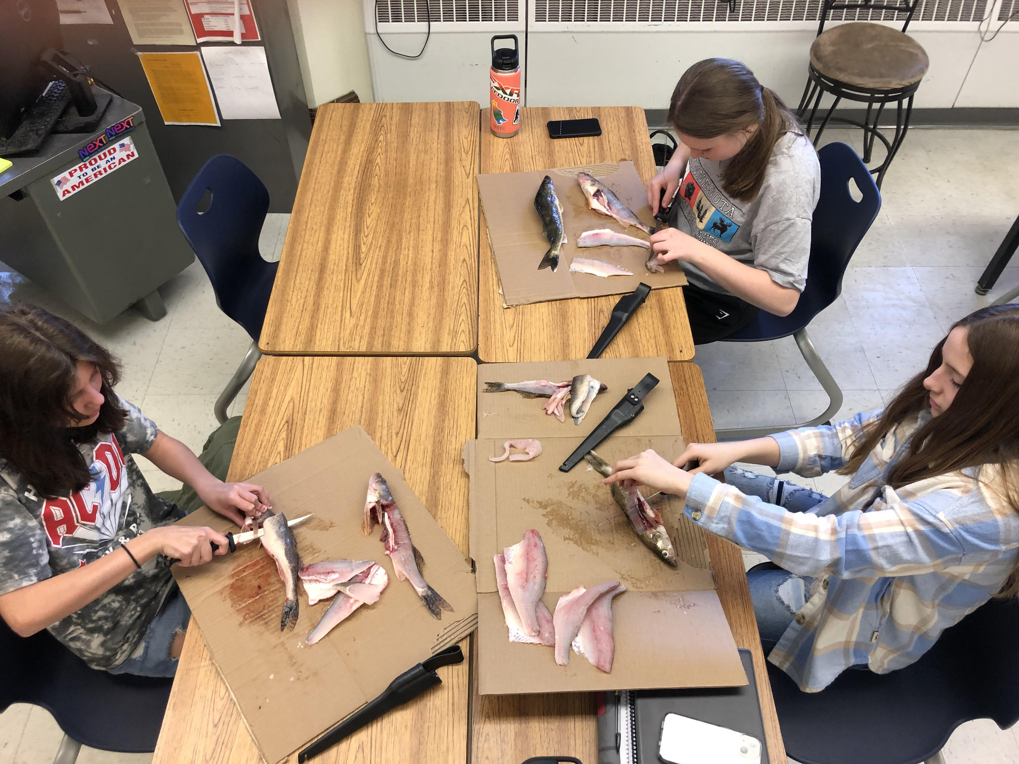 NashwaukKeewatin Home