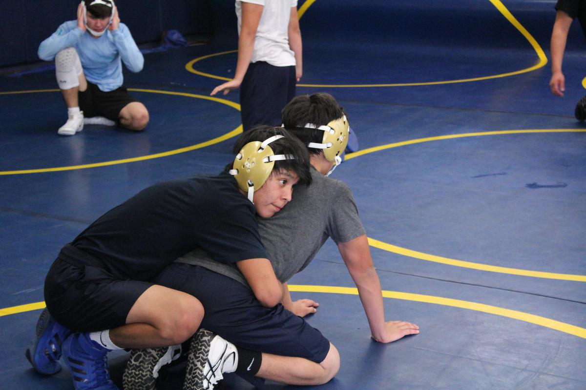 Wrestling Parker High School