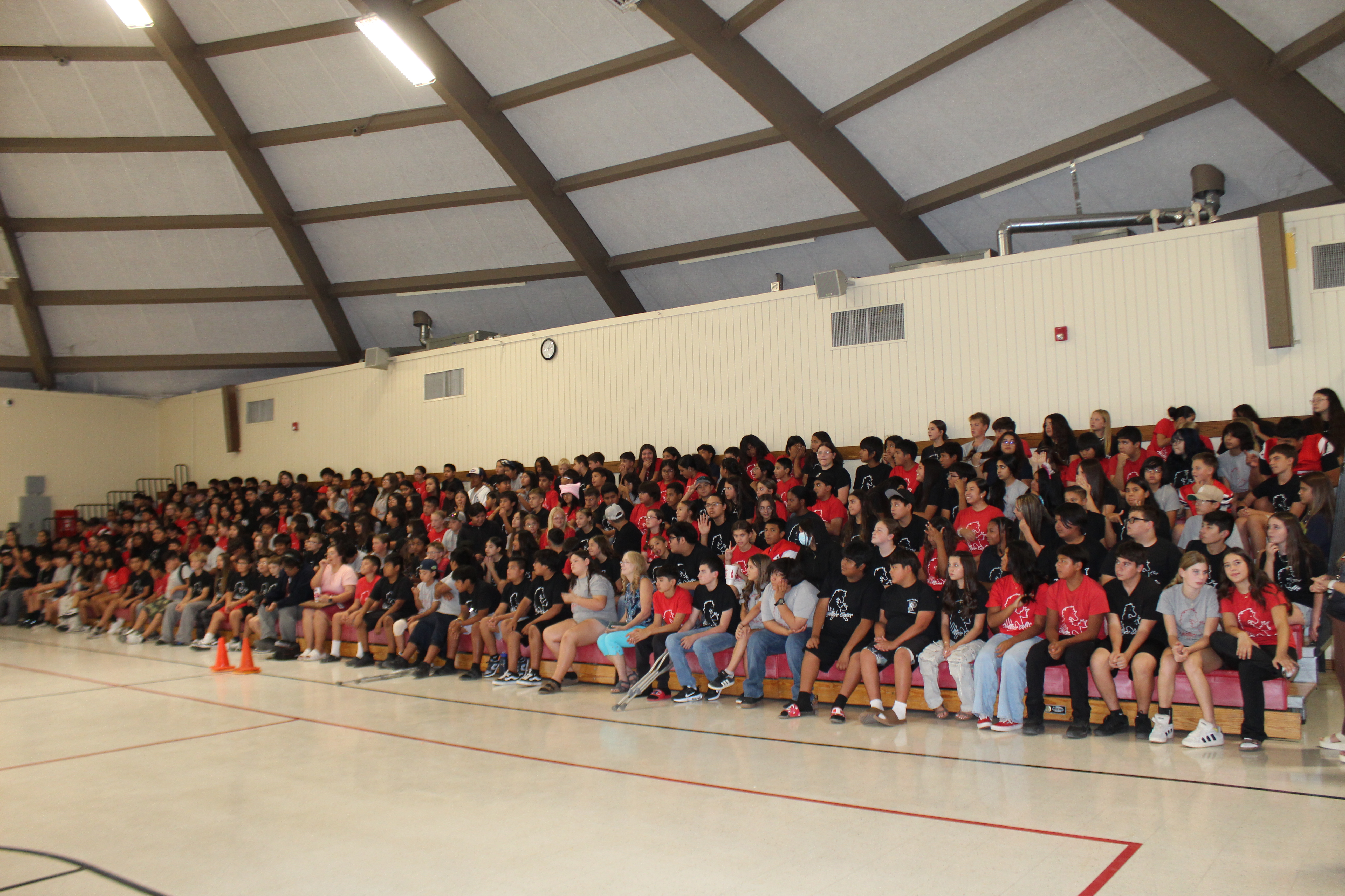 Student Body