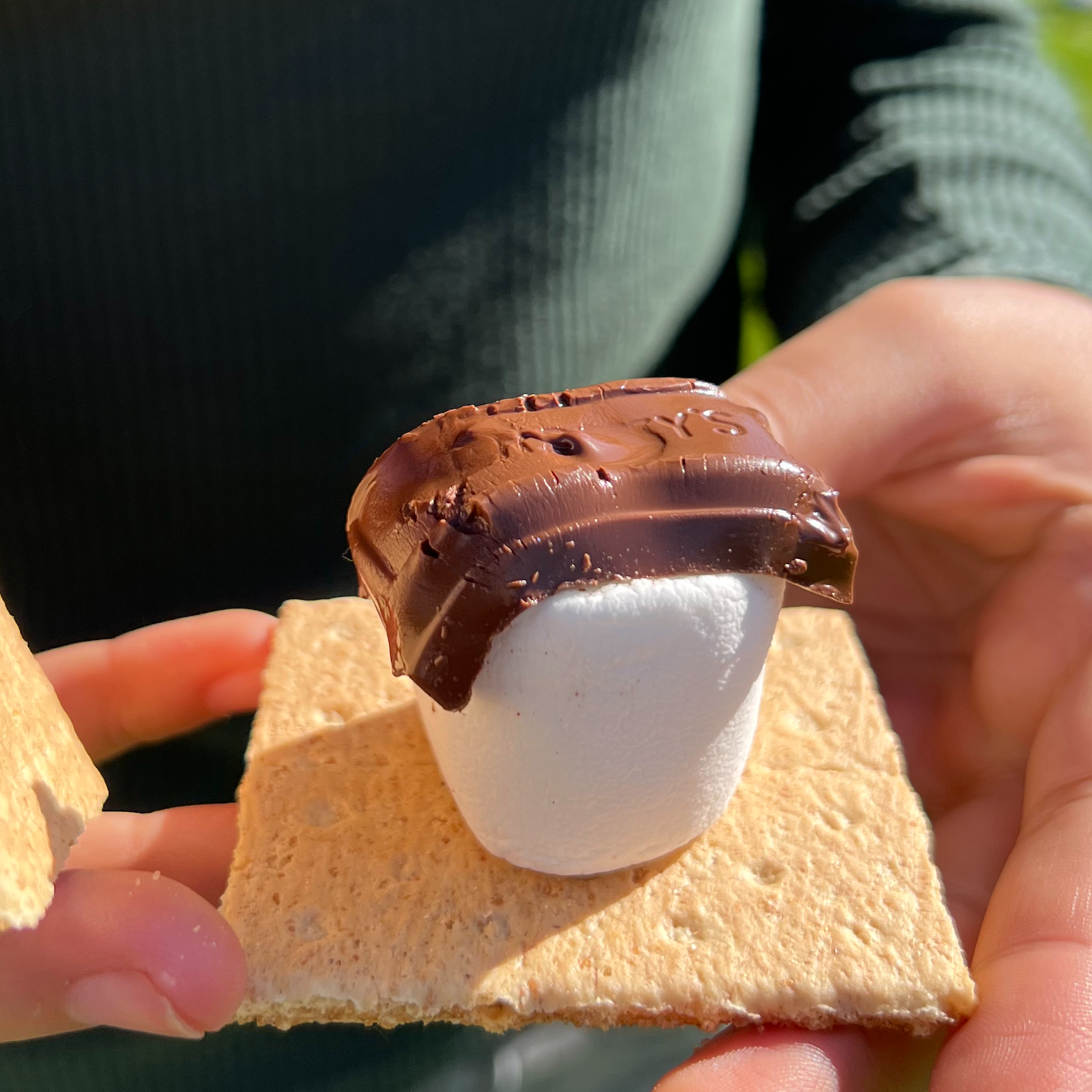 smores2