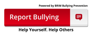 Report Bullying 