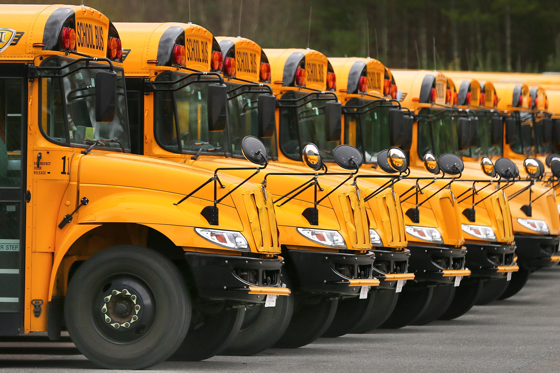 school buses