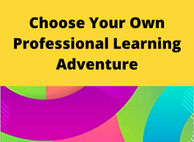 choose your own professional adventure