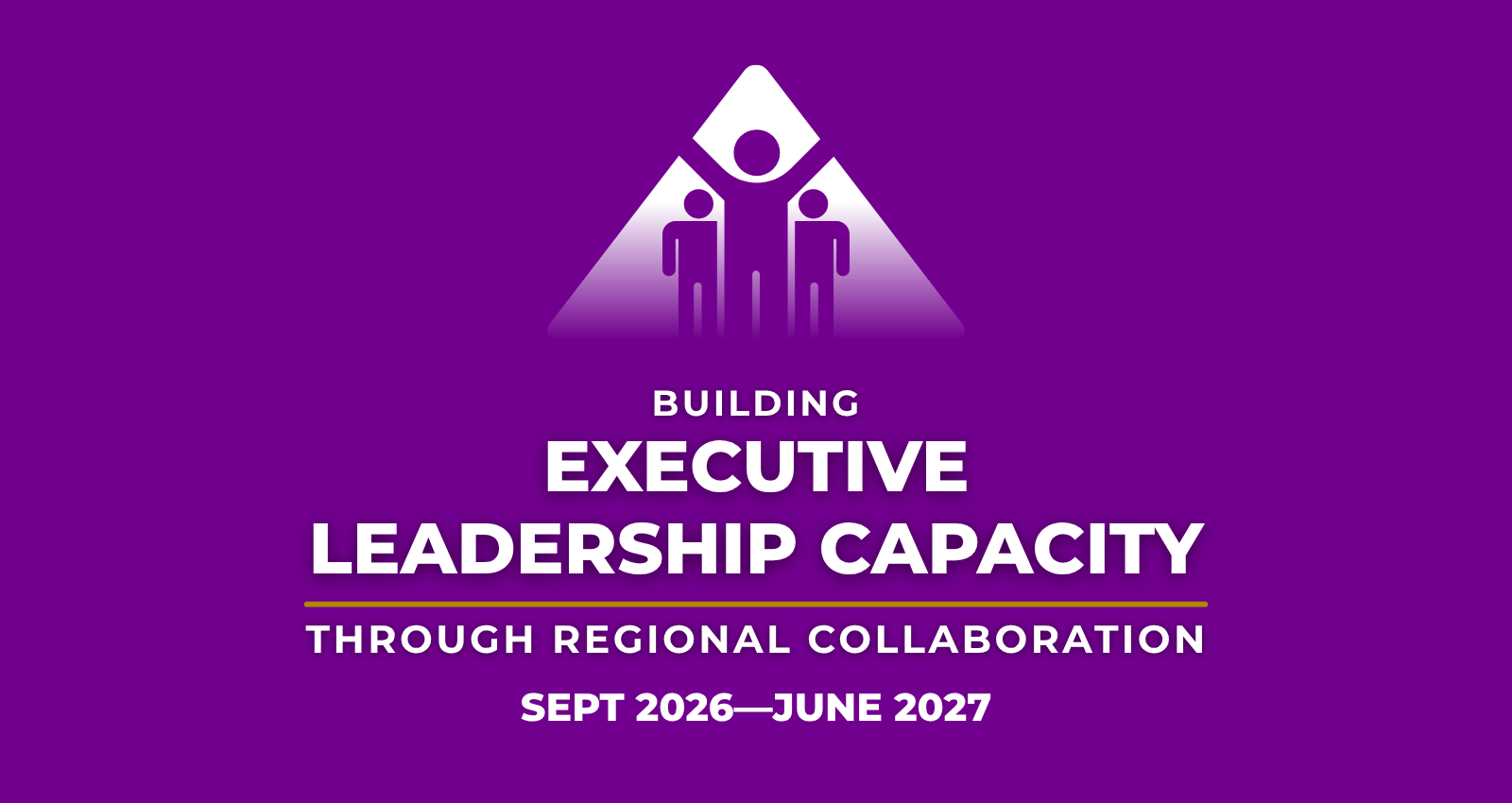 Building Exe Leadership Capacity