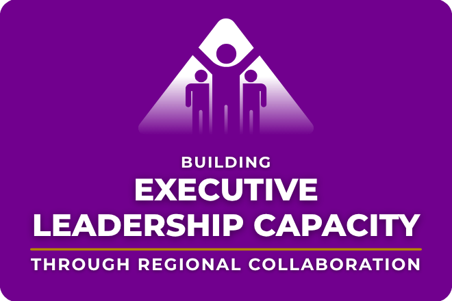 Building Executive Leadership Capacity