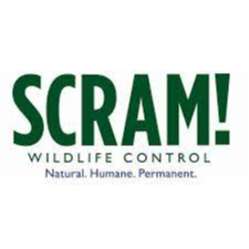 SCRAM! Wildlife Control