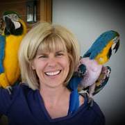 Mindy Steinlicht
