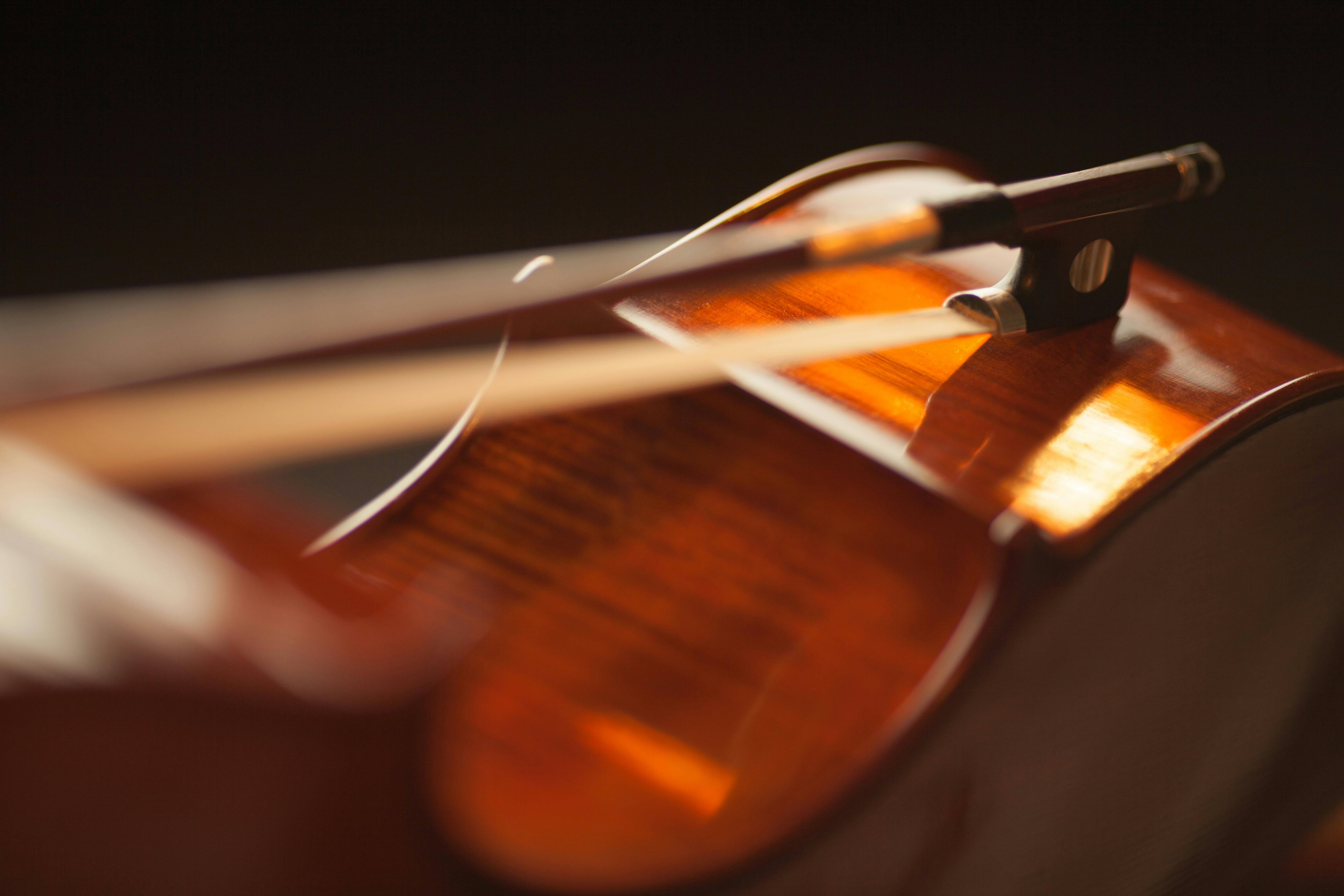 violin