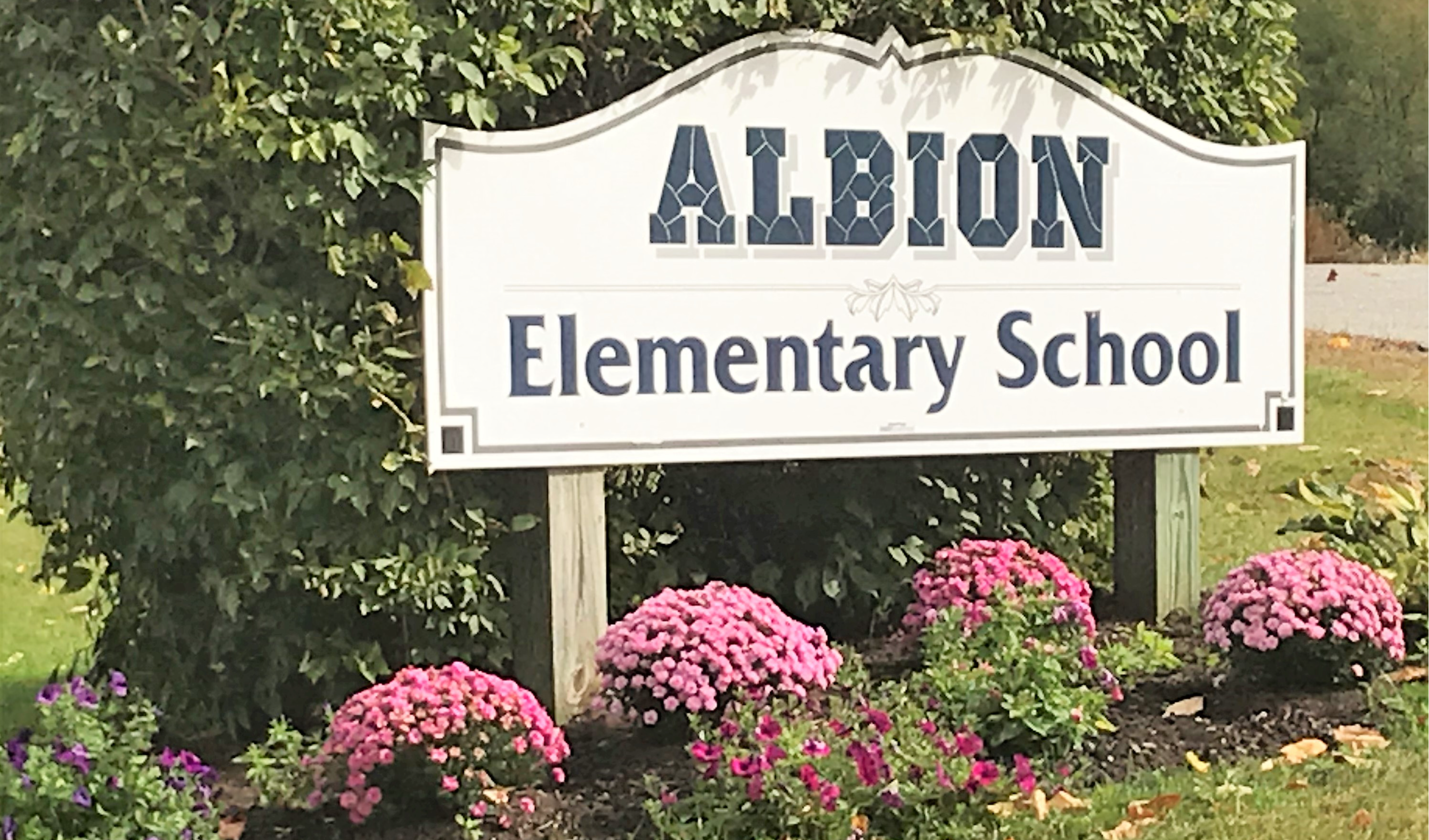 Albion School Sign with Summer Flowers