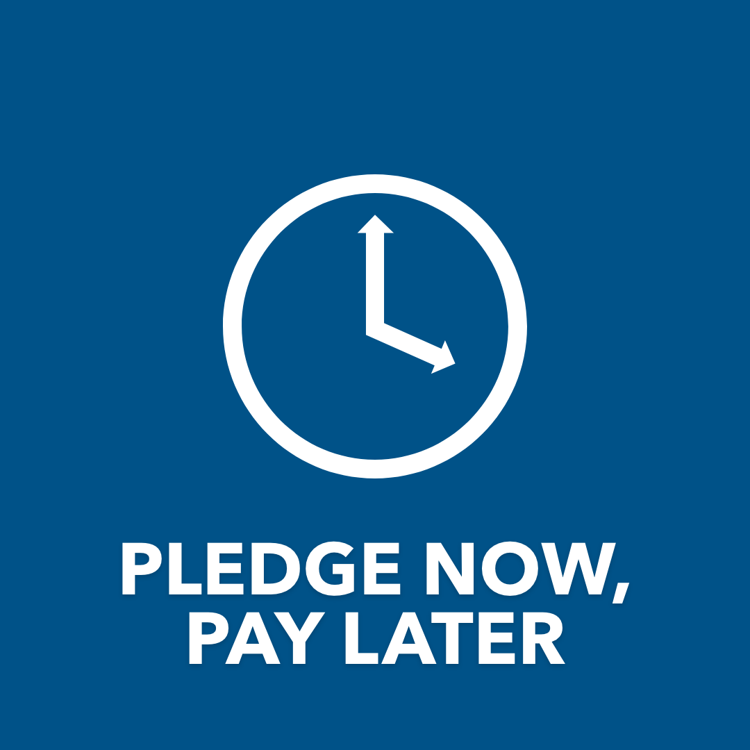 Pledge Now, Pay Later icon