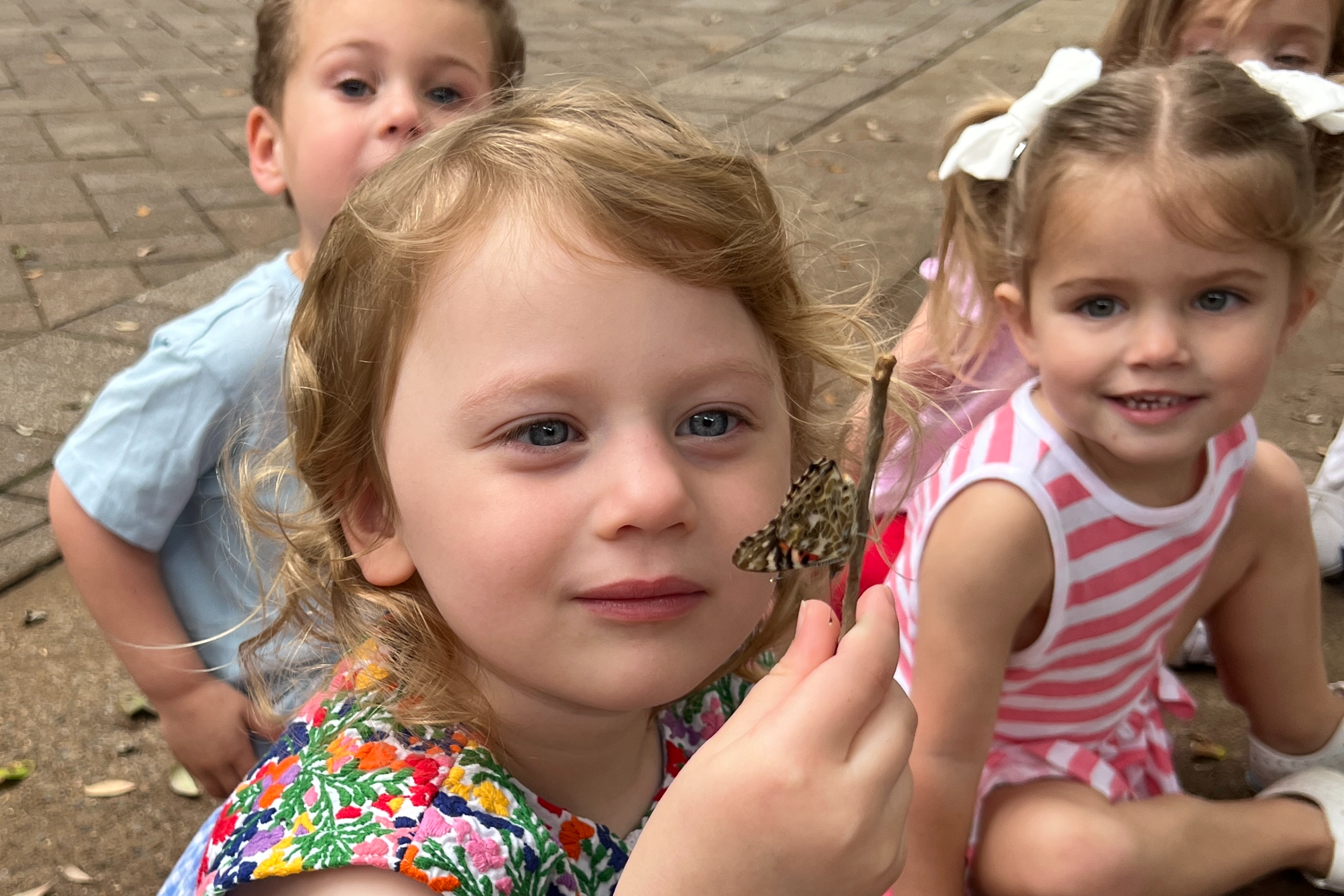 Toddler Butterfly Release