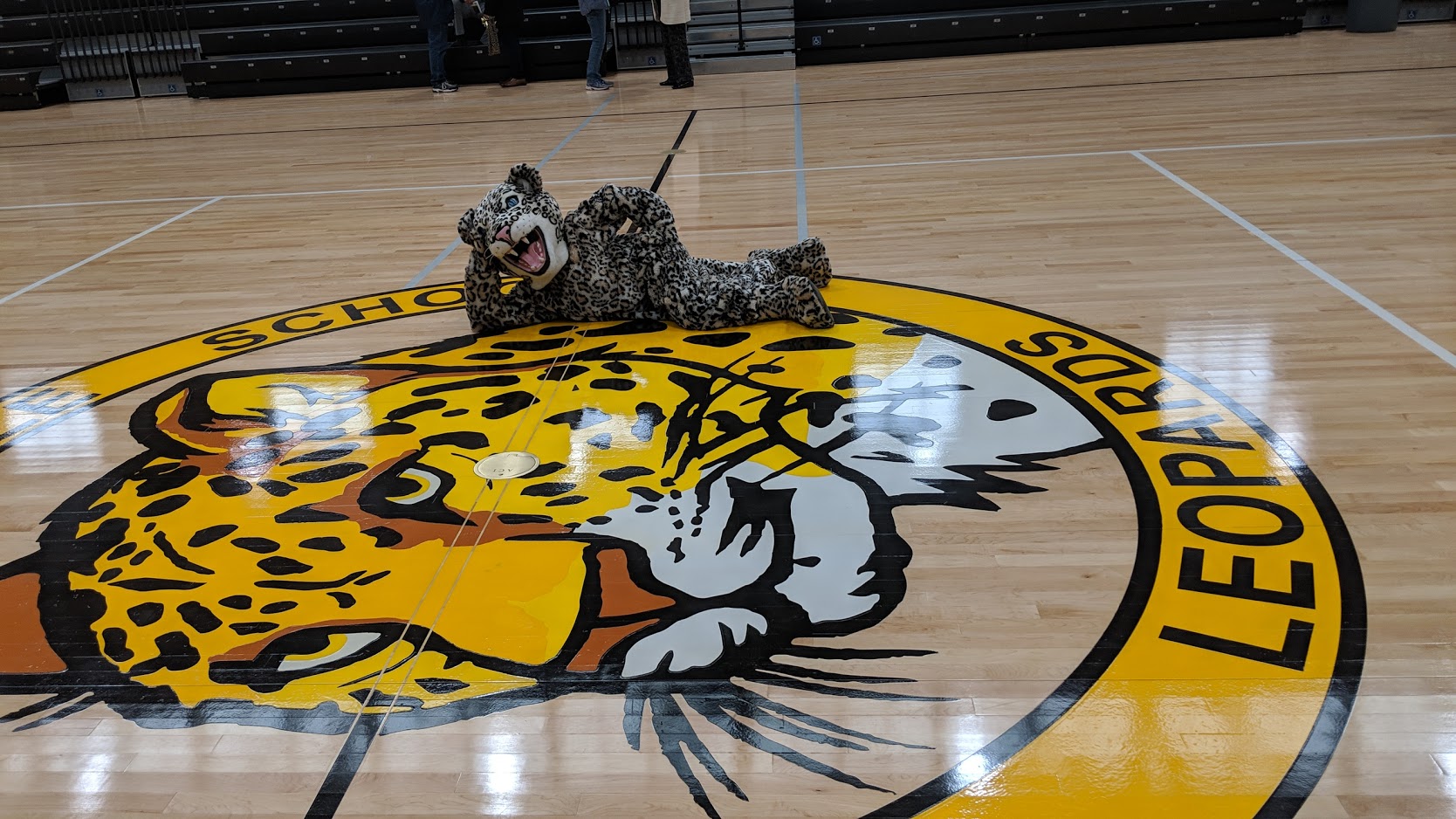 Gym Floor and Mascot image