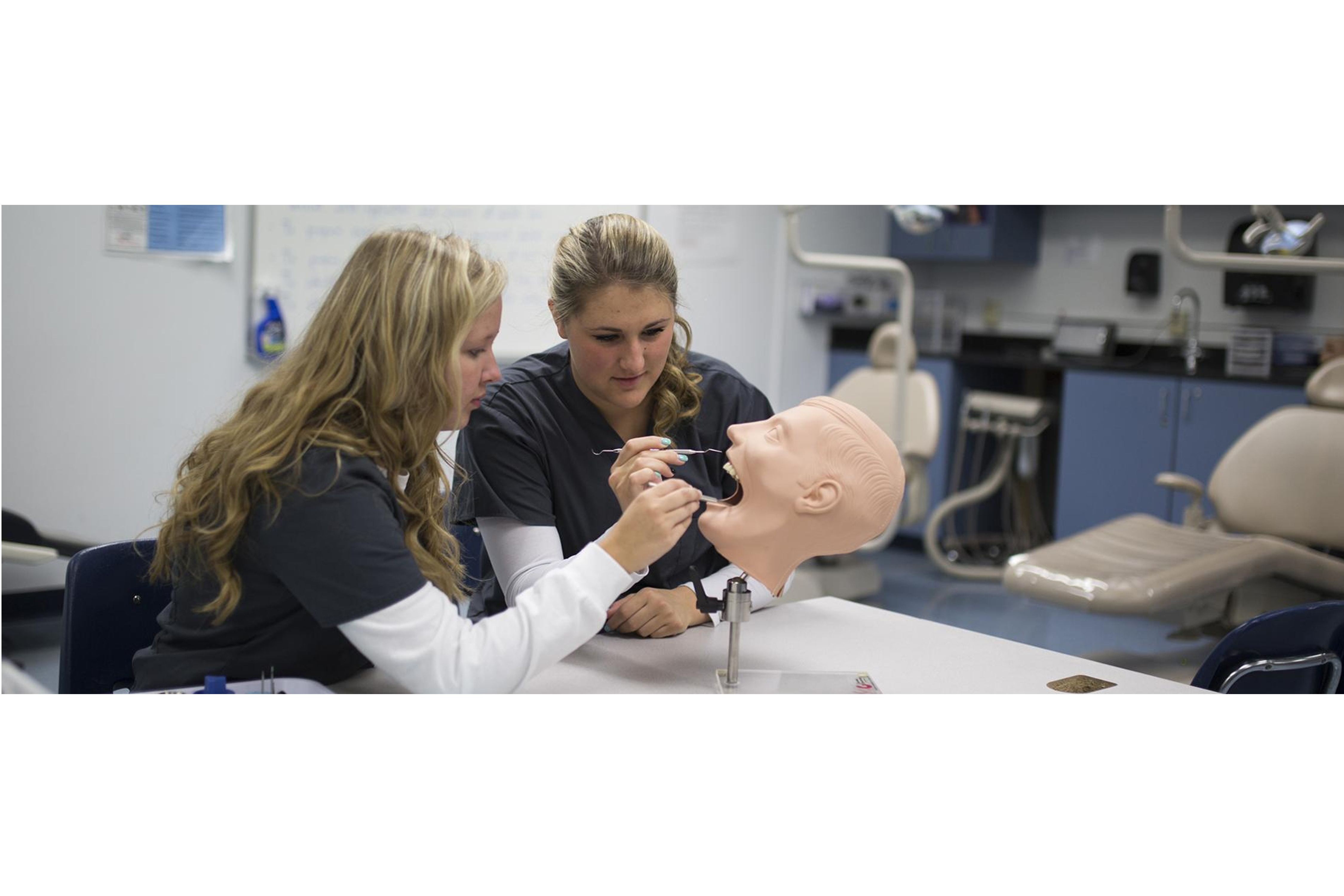 Dental Assisting Students Practicing