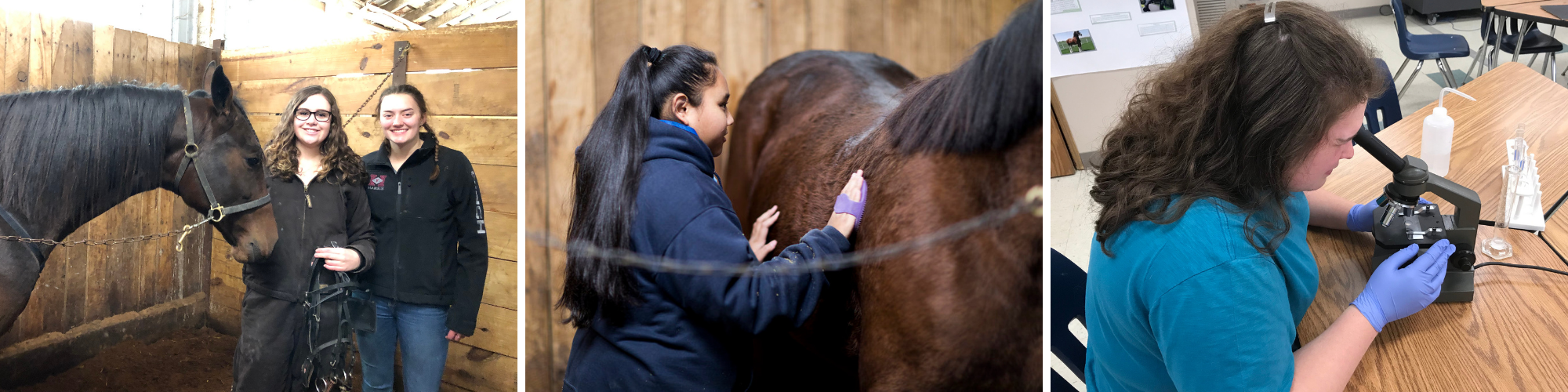 Equine Science Program