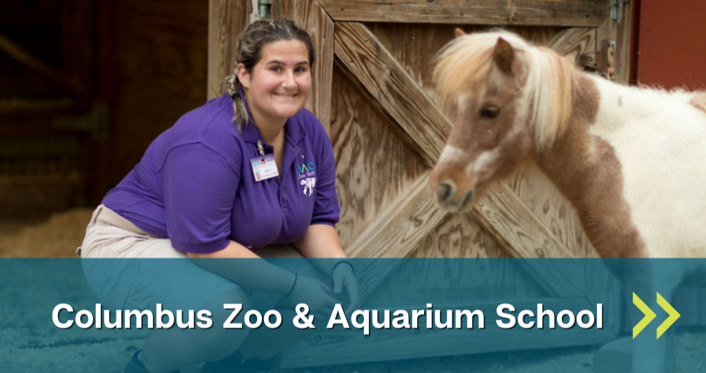 Link to Columbus Zoo and Aquarium School page