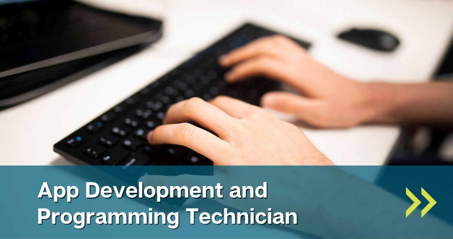 Application Development and Programming Technician