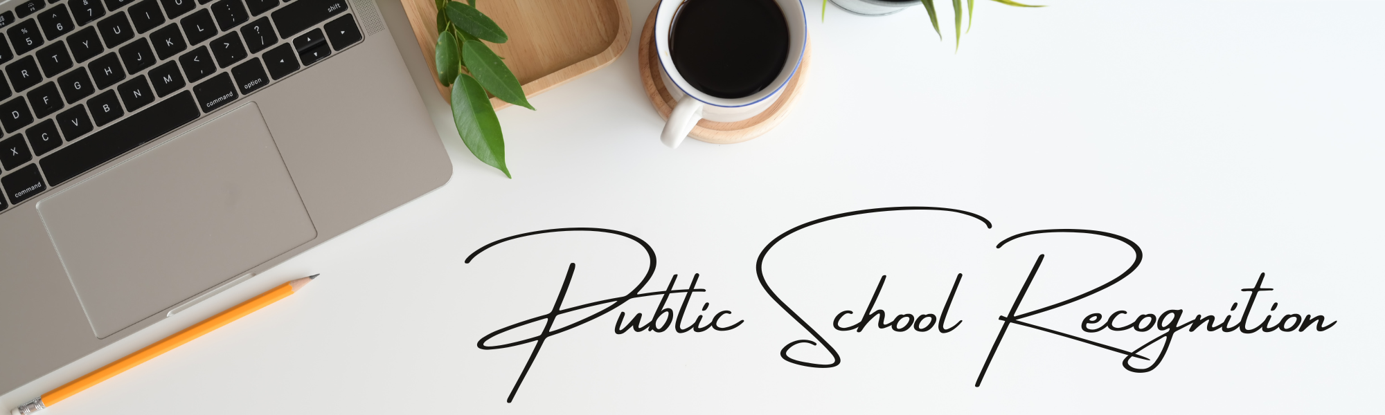 Public School Recognition