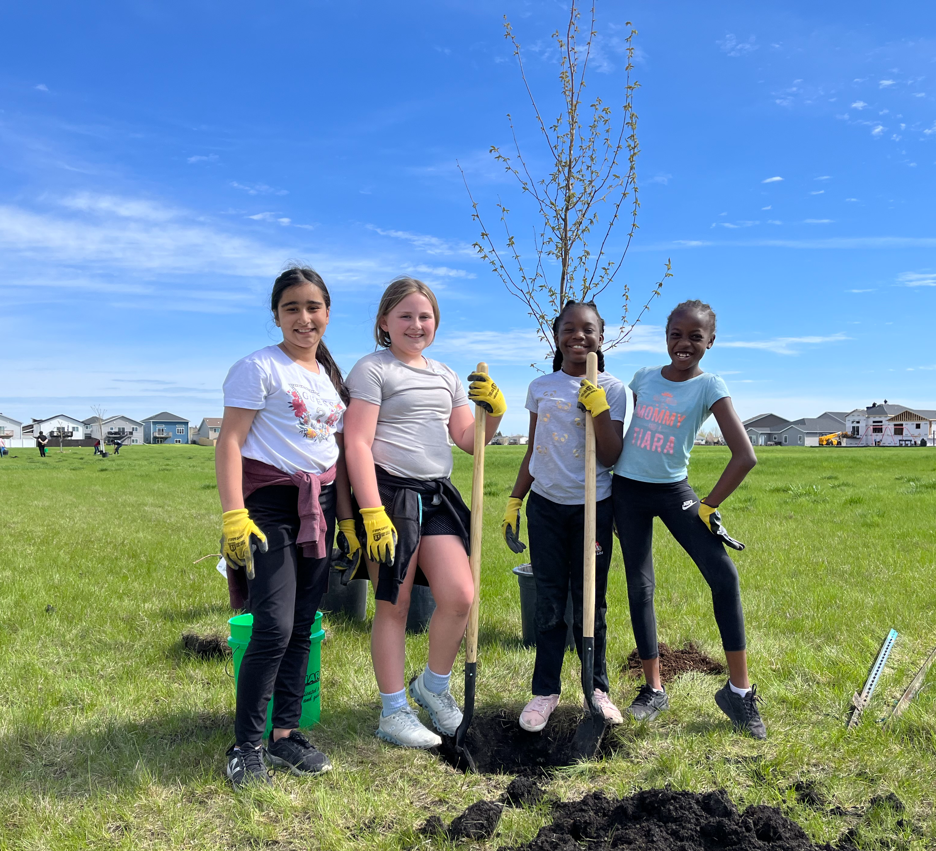 four students planting a tree