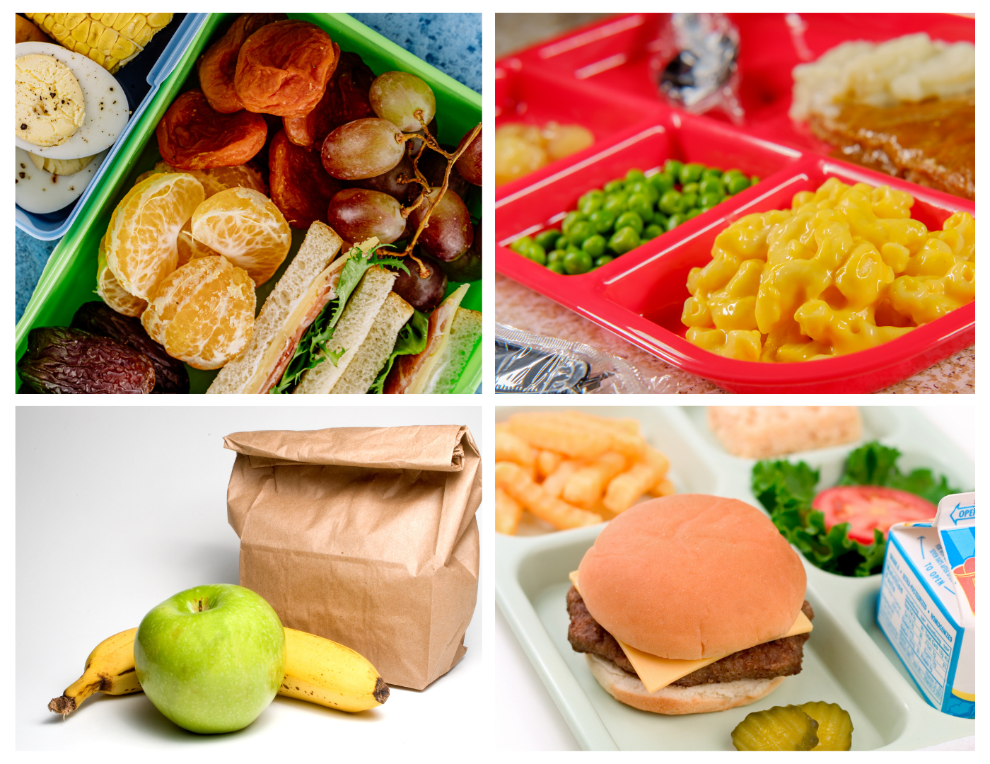 Food Service Meals