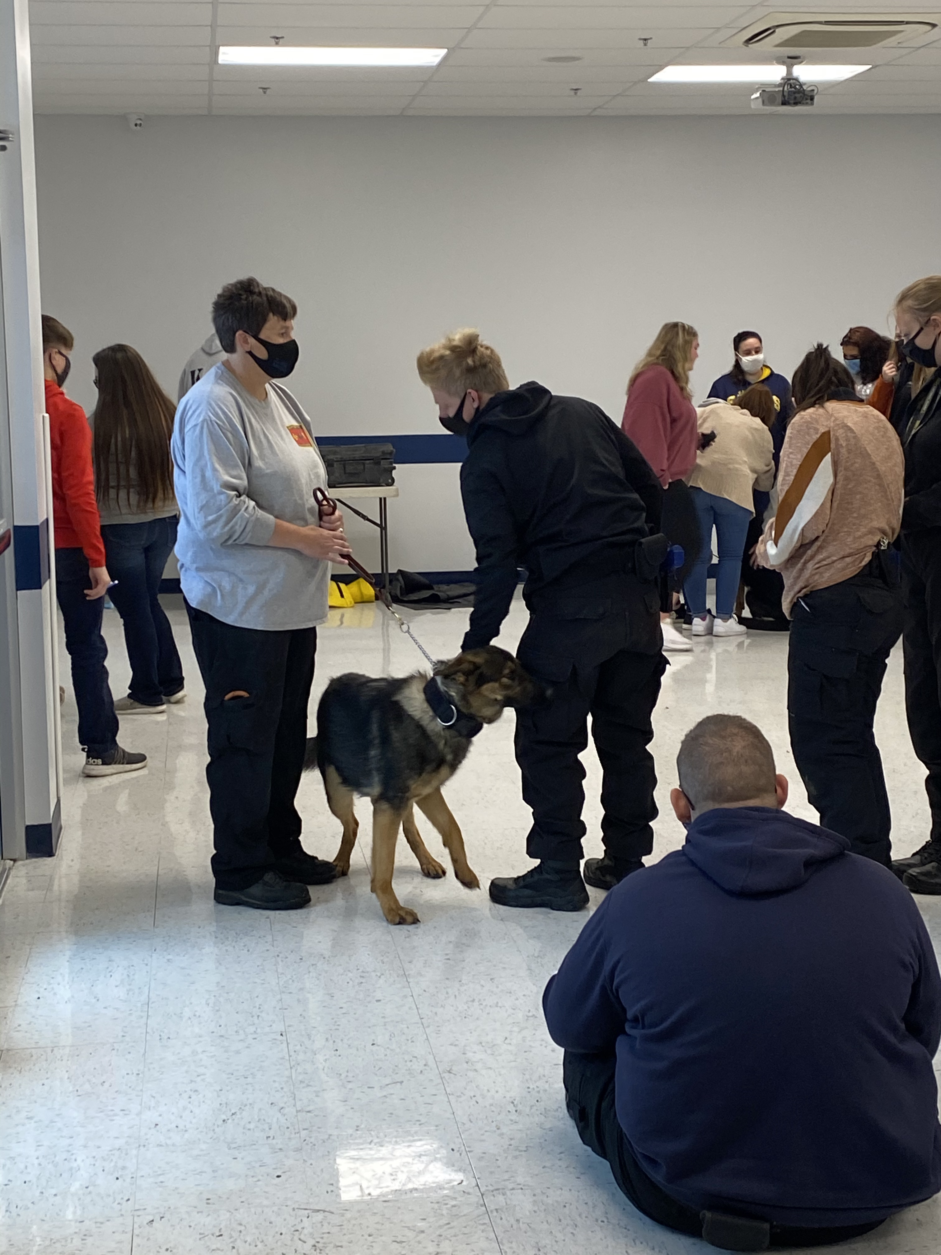 Students and staff interacting with SAR dog