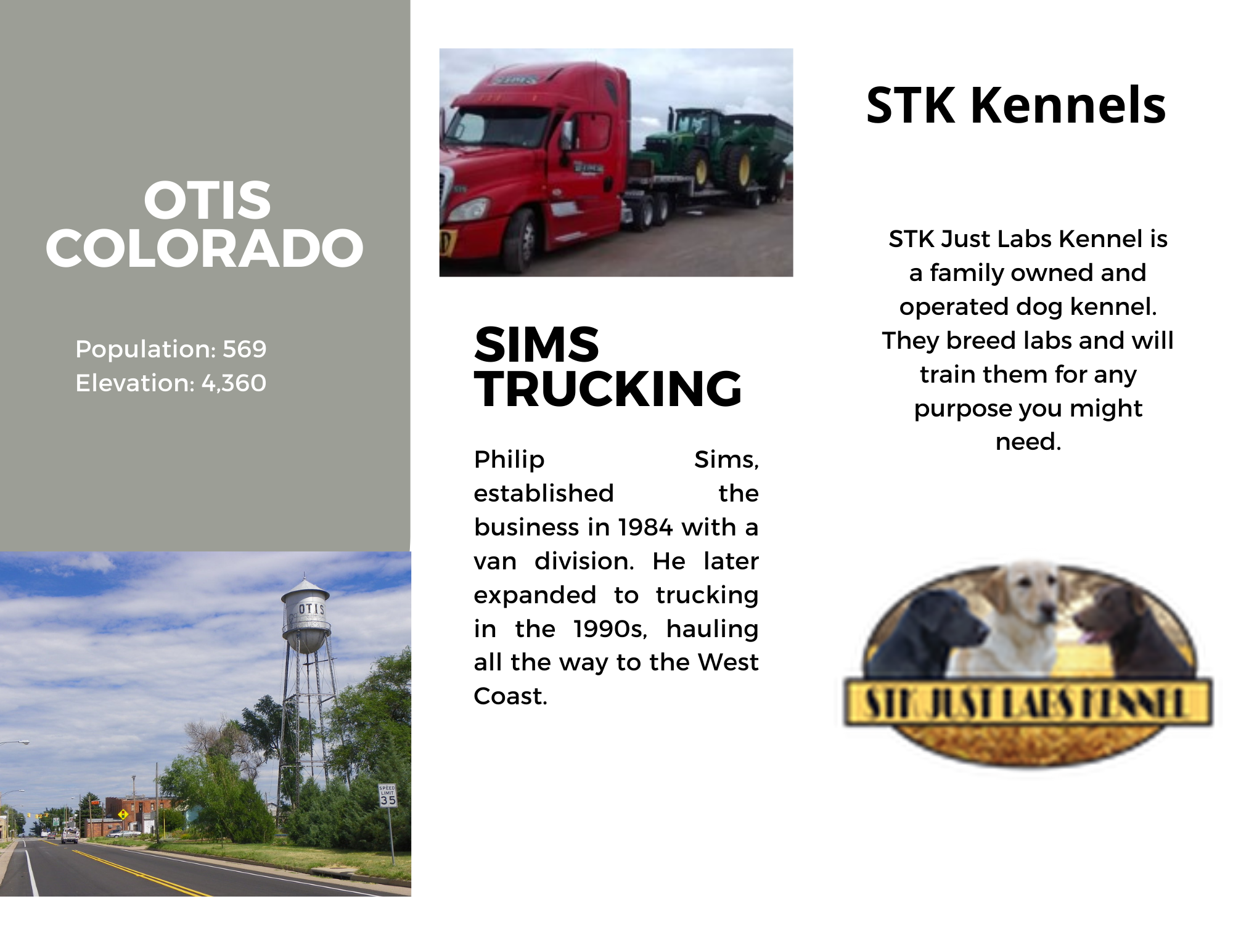 Brochure