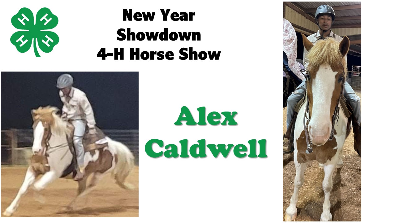 Alex Caldwell Riding Horse