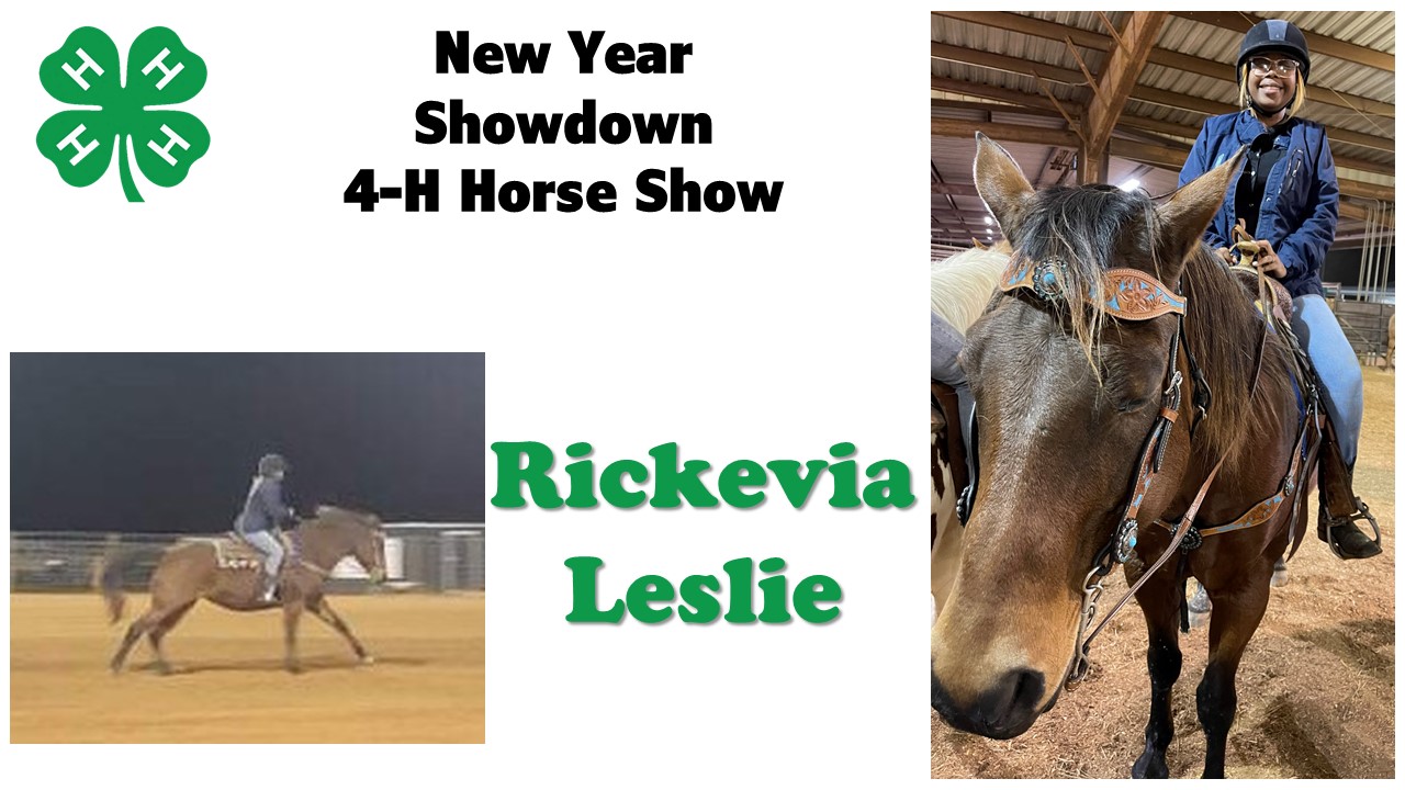 Rickevia Leslie Riding Horse