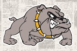 Bulldog on newspaper