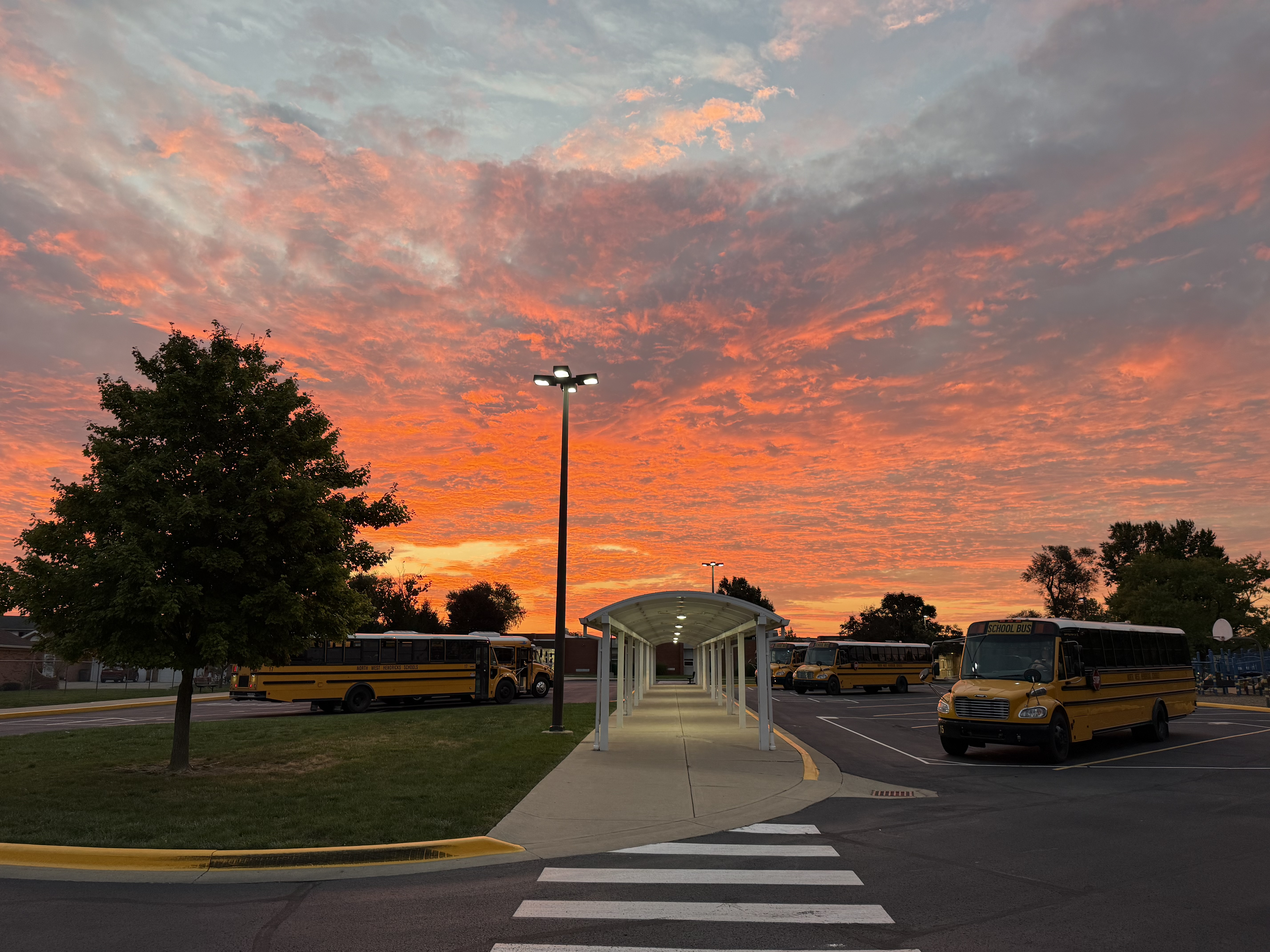 Sunrise buses